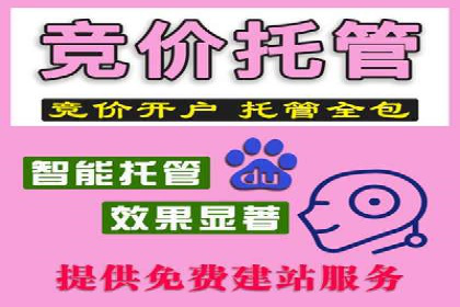 低成本高回报：百度竞价代理成功案例分析